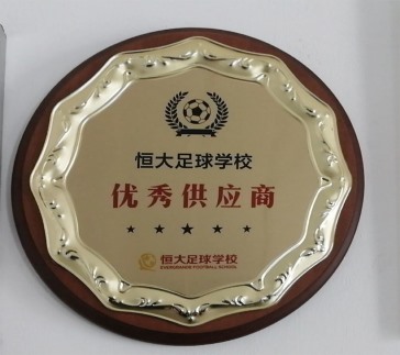優(yōu)秀供應(yīng)商